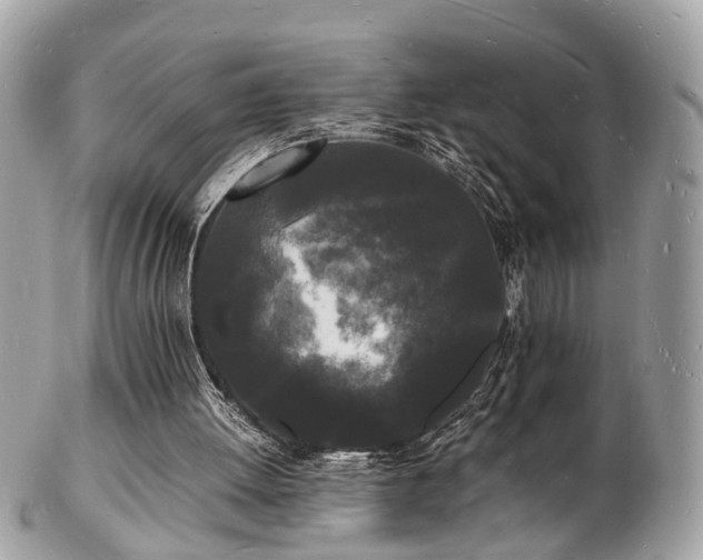 X0000103290052200808291342