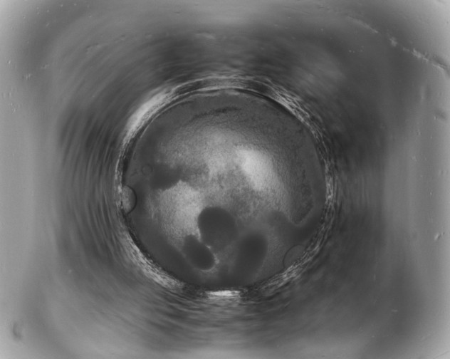 X0000103290053200808291342