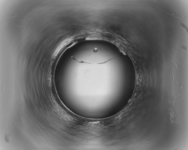 X0000103290054200808291342