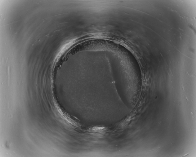 X0000103290055200808291342