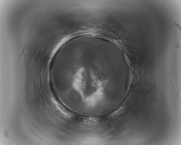 X0000103290056200808291342