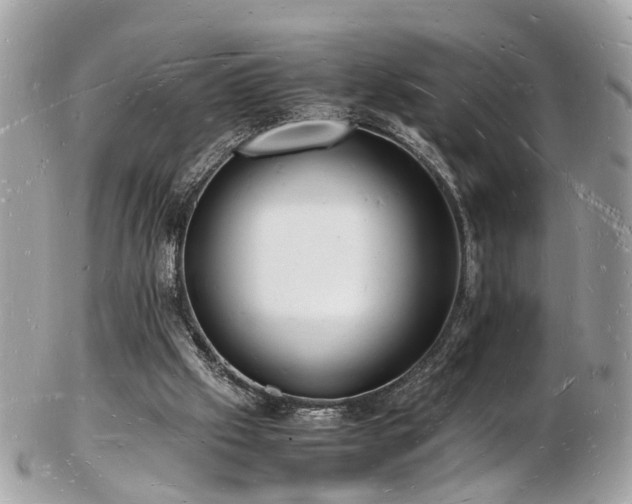 X0000103290057200808291342