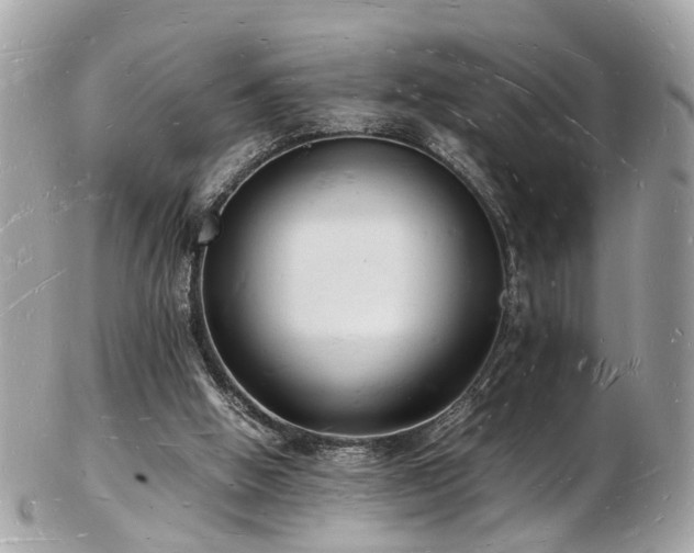 X0000103290058200808291342