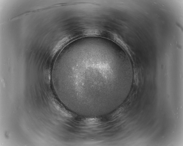 X0000103290059200808291342