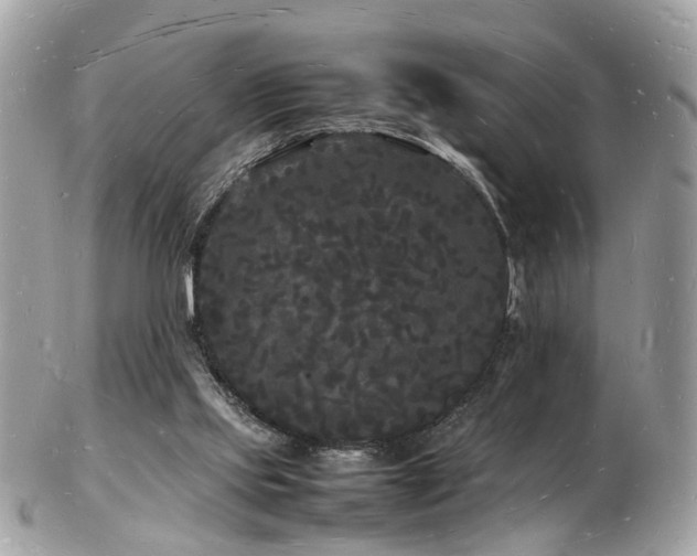 X0000103290061200808291342