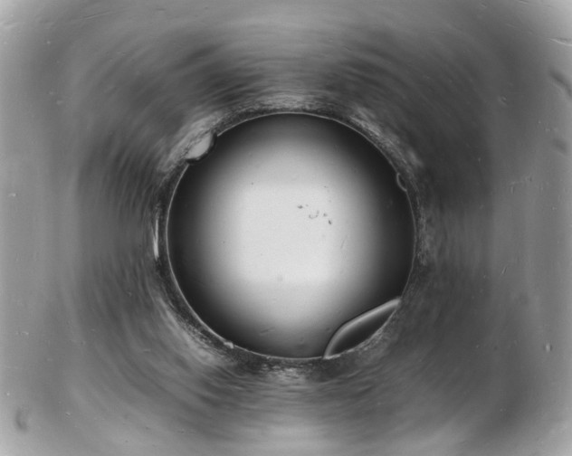 X0000103290062200808291342