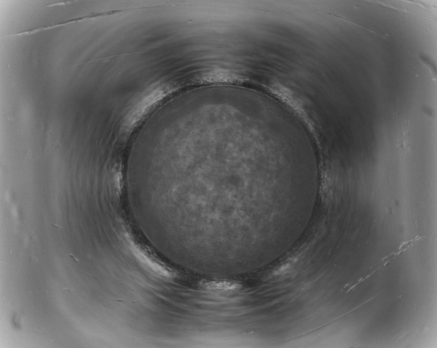 X0000103290063200808291342