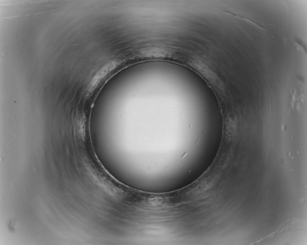 X0000103290064200808291342