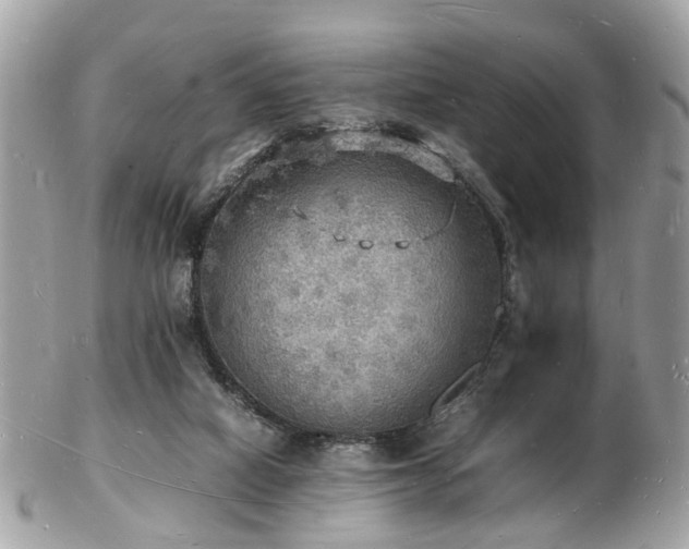 X0000103290066200808291342