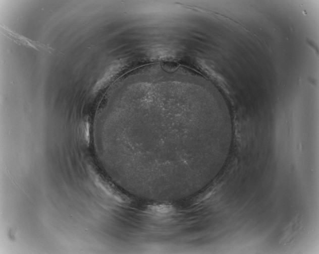 X0000103290067200808291342