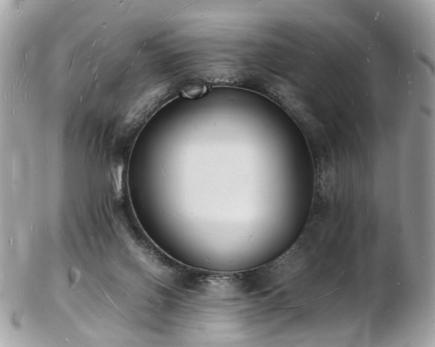 X0000103290070200808291342