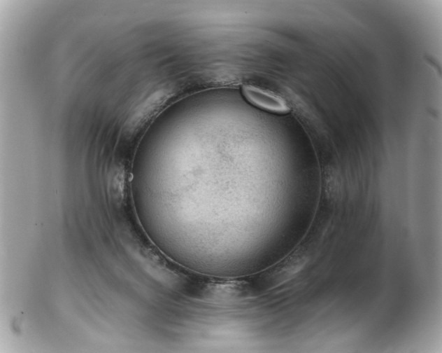 X0000103290072200808291342