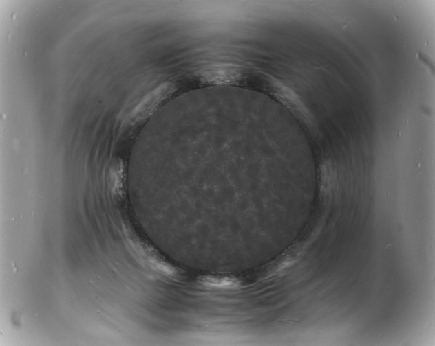 X0000103290073200808291342