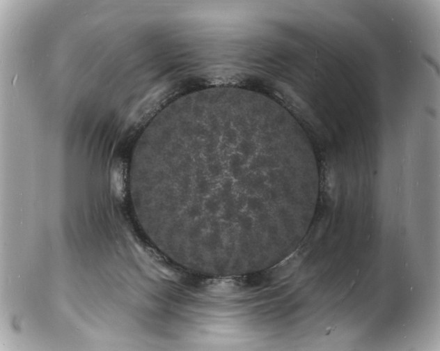 X0000103290074200808291342