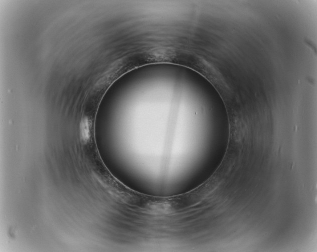 X0000103290075200808291342