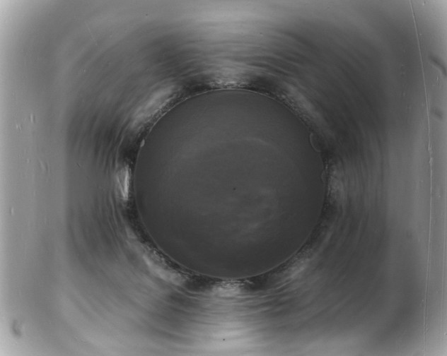 X0000103290076200808291342