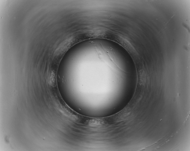 X0000103290077200808291342