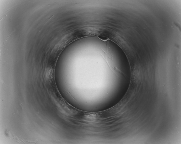 X0000103290079200808291342