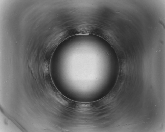 X0000103290081200808291342