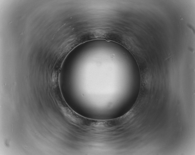 X0000103290082200808291342