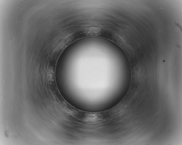 X0000103290083200808291342