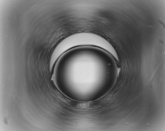 X0000103290084200808291342