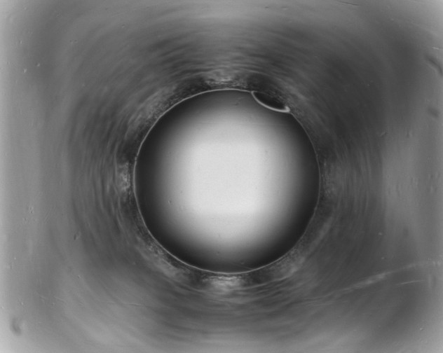 X0000103290085200808291342