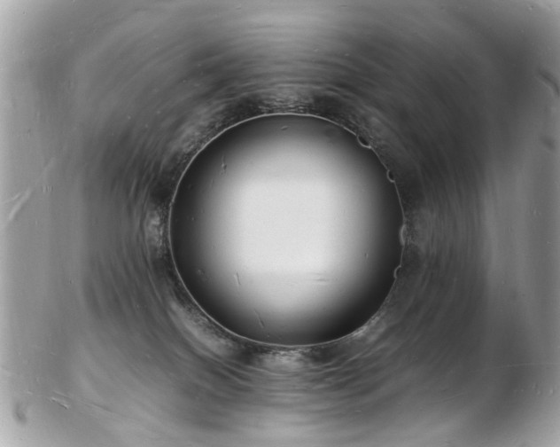 X0000103290086200808291343