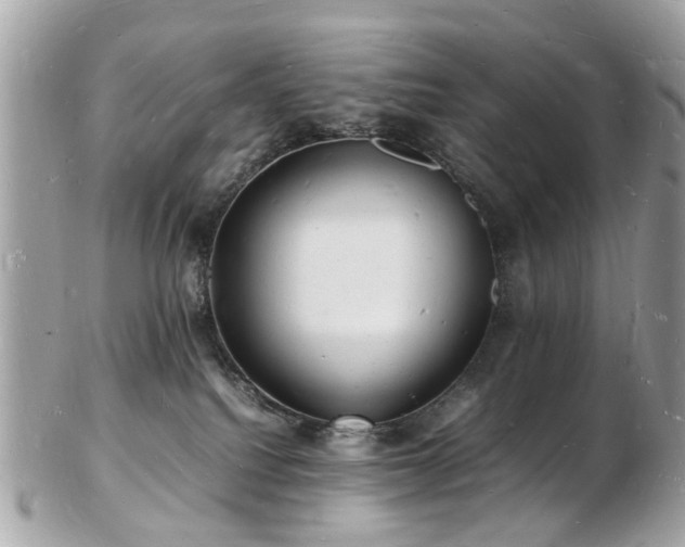 X0000103290088200808291343