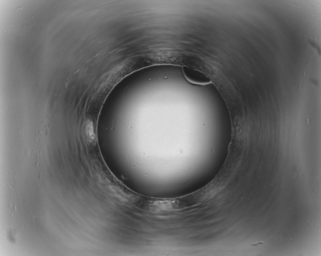 X0000103290089200808291343