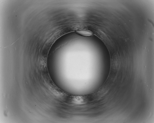 X0000103290091200808291343