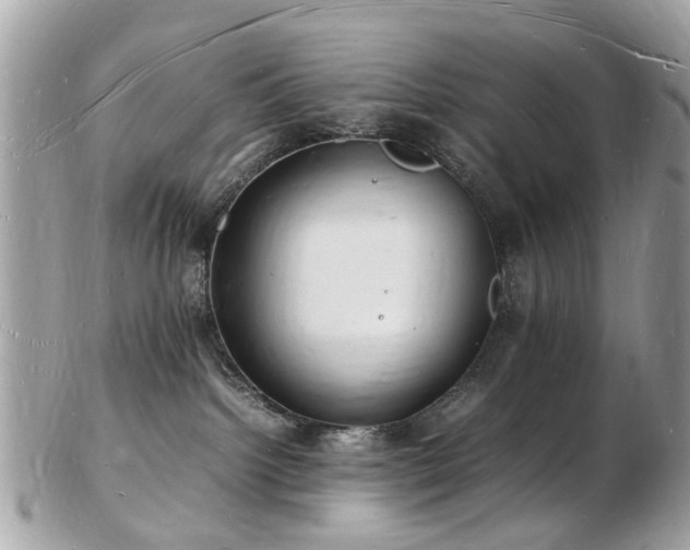 X0000103290092200808291343