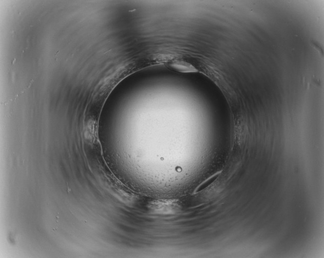 X0000103290093200808291343