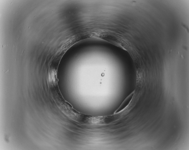 X0000103290094200808291343