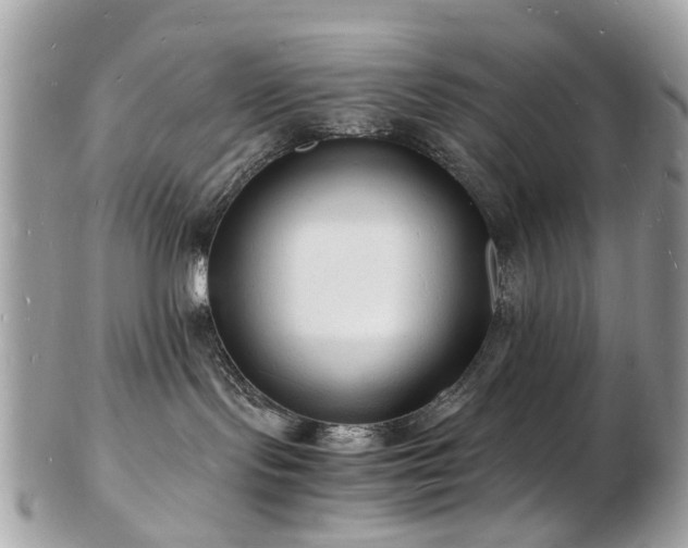 X0000103290095200808291343