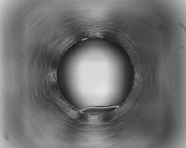 X0000103290096200808291343