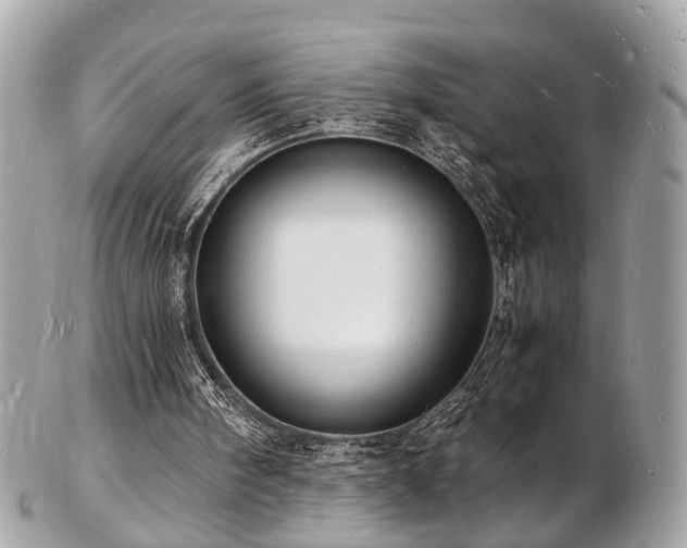 X0000103290098200808291342