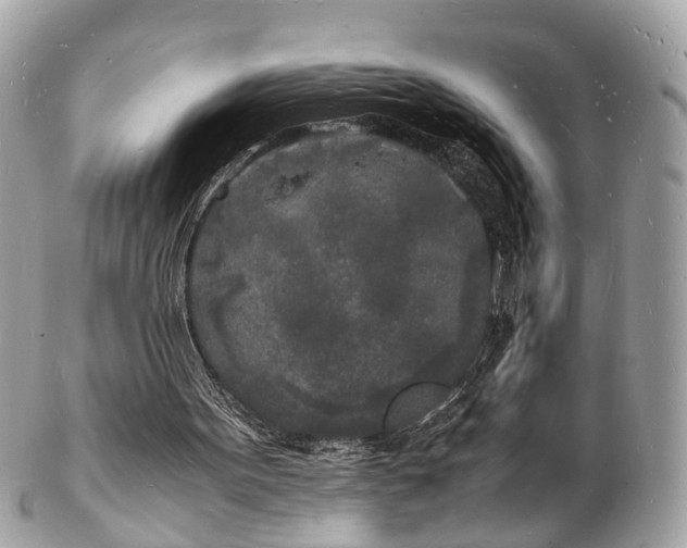 X0000103290099200808291342