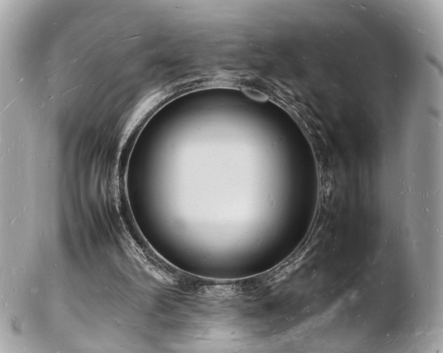 X0000103290102200808291342