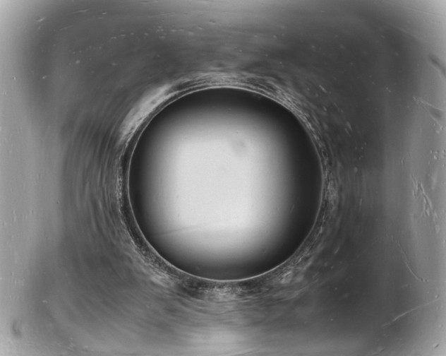 X0000103290103200808291342