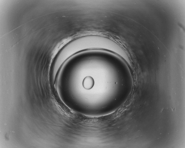 X0000103290104200808291342