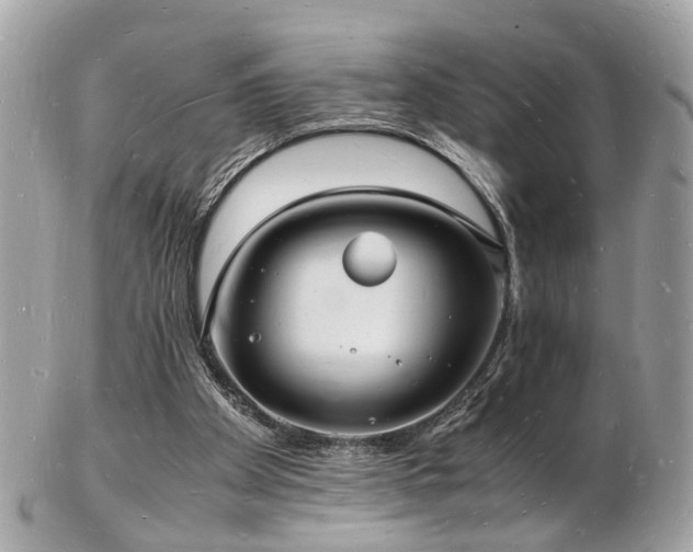 X0000103290105200808291342