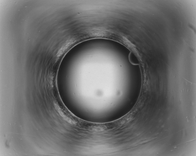 X0000103290106200808291342