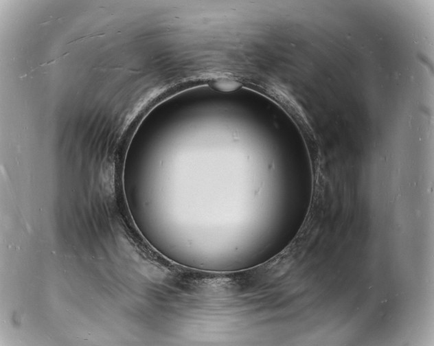 X0000103290108200808291342