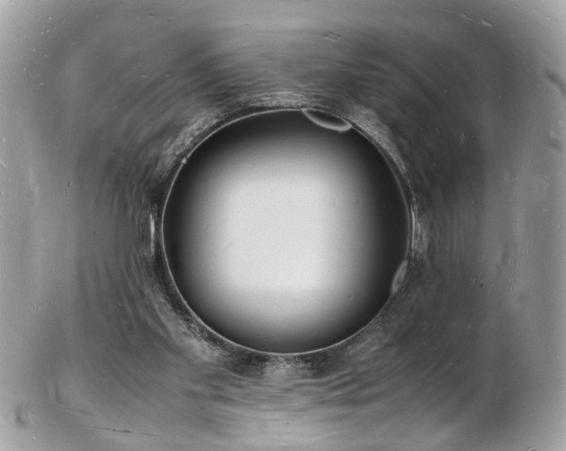 X0000103290109200808291342