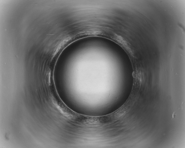 X0000103290110200808291342