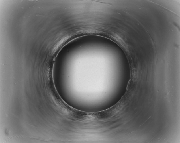 X0000103290111200808291342