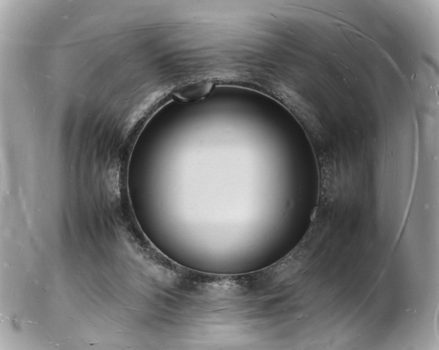 X0000103290112200808291342