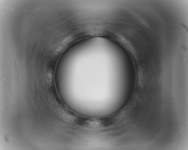 X0000103290113200808291342