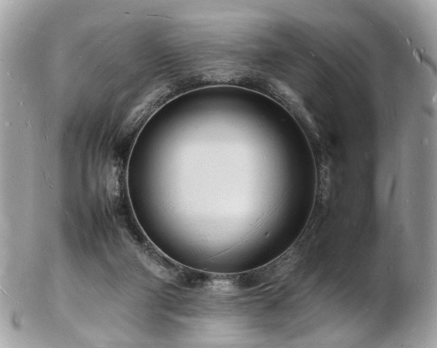 X0000103290114200808291342